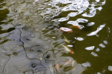 Akdeniz 'deki deniz dalgasının rengi..