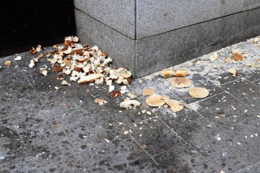 Binaların ve yapıların inşasında mimari bir detay olarak açılar.