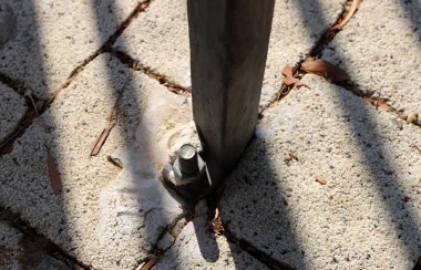 Parçaları birbirine bağlamak ve birleştirmek için iplikleri olan metal bir cıvata.