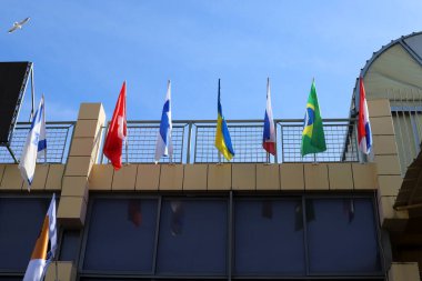 İsrail 'de bir şehir parkında dalgalanan bir bayrak.