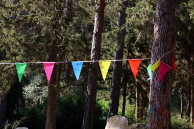 İsrail 'de bir şehir parkında dalgalanan bir bayrak.