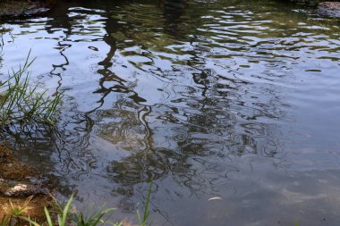 Yarkon Nehri Tel Aviv 'in ortasından akar..