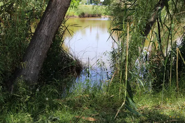 Yarkon Nehri Tel Aviv 'in ortasından akar..