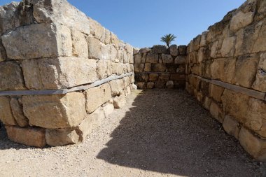 İsrail 'in Jezreel Vadisi' ndeki antik Megiddo şehrinin kazıları.