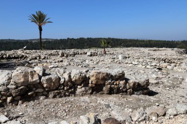 İsrail 'in Jezreel Vadisi' ndeki antik Megiddo şehrinin kazıları.