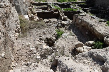 İsrail 'in Jezreel Vadisi' ndeki antik Megiddo şehrinin kazıları.