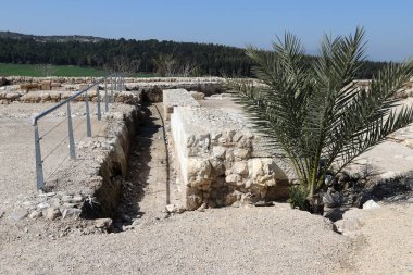 İsrail 'in Jezreel Vadisi' ndeki antik Megiddo şehrinin kazıları.