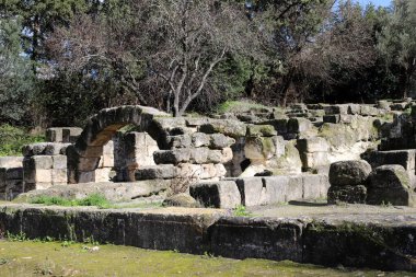 Beit Shearim, İsrail 'in Roma dönemine dayanan antik bir kentidir..