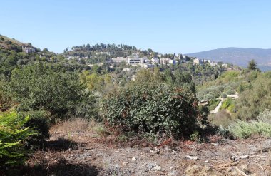 İsrail 'in kuzeyindeki dağlarda küçük bir kasaba.