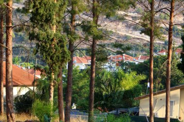 İsrail 'in kuzeyindeki dağlarda küçük bir kasaba.
