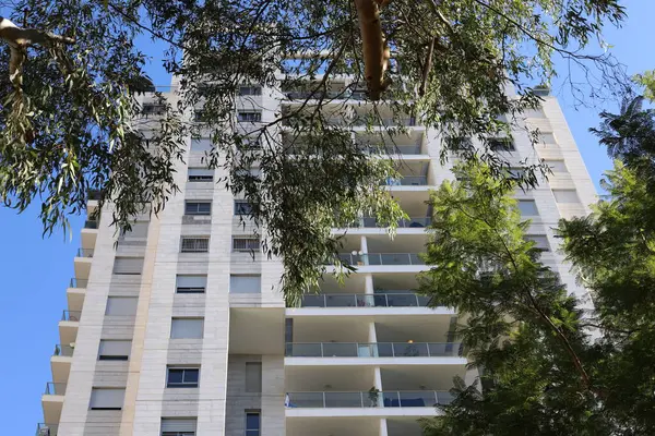 Tel Aviv 'deki binalar ve yapılar yüksek ağaçların arka planına karşı..