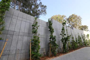 Şehir parkında taş ve beton duvar