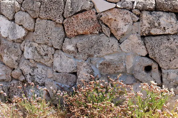 Şehir parkında taş ve beton duvar