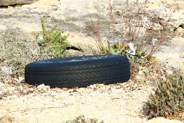 Deniz kıyısındaki bir şehir parkında bir araba lastiği duruyor..