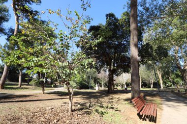 Deniz kıyısındaki bir şehir parkında rahatlamak için bir bank.