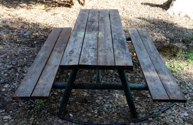 Deniz kıyısındaki bir şehir parkında rahatlamak için bir bank.