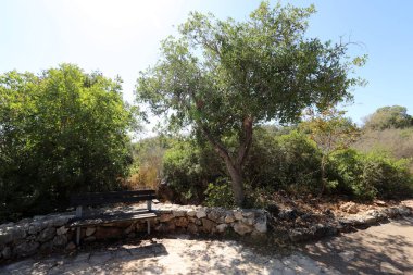 Deniz kıyısındaki bir şehir parkında rahatlamak için bir bank.