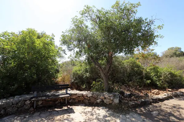 Deniz kıyısındaki bir şehir parkında rahatlamak için bir bank.