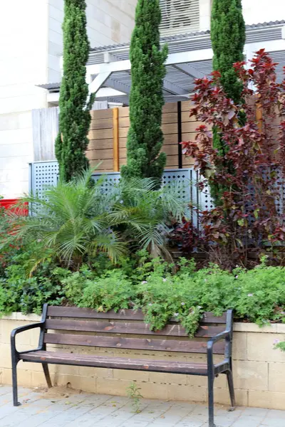 Deniz kıyısındaki bir şehir parkında rahatlamak için bir bank.