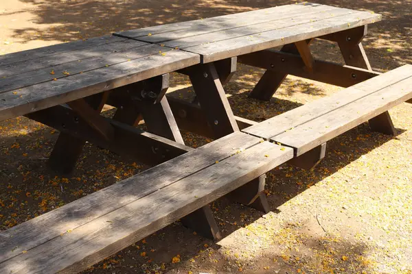 Deniz kıyısındaki bir şehir parkında rahatlamak için bir bank.