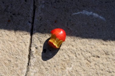 Güneş ışığının geçmediği bir nesne bir gölge oluşturur..