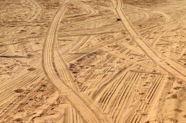 Footprints in the sand on the shores of the Mediterranean Sea.