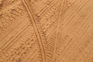Footprints in the sand on the shores of the Mediterranean Sea.
