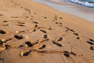 Footprints in the sand on the shores of the Mediterranean Sea.
