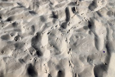 Footprints in the sand on the shores of the Mediterranean Sea.