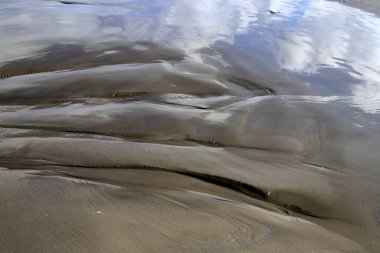 Footprints in the sand on the shores of the Mediterranean Sea.