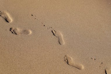 Footprints in the sand on the shores of the Mediterranean Sea.
