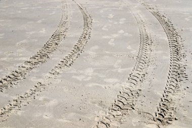 Footprints in the sand on the shores of the Mediterranean Sea.