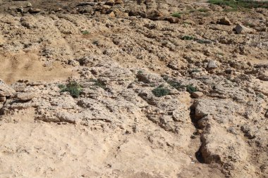 Footprints in the sand on the shores of the Mediterranean Sea.