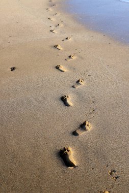 Footprints in the sand on the shores of the Mediterranean Sea.