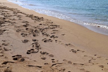 Footprints in the sand on the shores of the Mediterranean Sea.