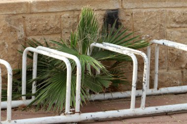 Bisiklet Park Şehir Parkı