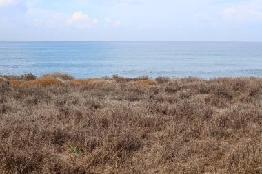 Kuzey İsrail 'deki Akdeniz kıyıları.