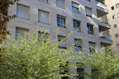 Şehir, yüksek ve çiçek açan ağaçların arka planına karşı.