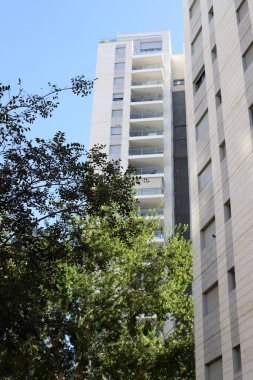 Şehir, yüksek ve çiçek açan ağaçların arka planına karşı.