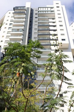 Şehir, yüksek ve çiçek açan ağaçların arka planına karşı.