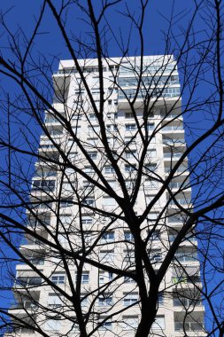 Şehir, yüksek ve çiçek açan ağaçların arka planına karşı.