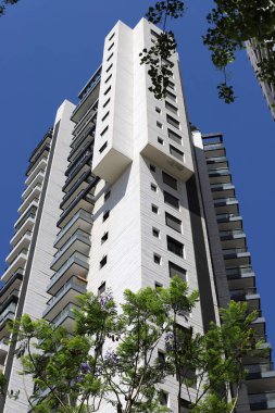 Şehir, yüksek ve çiçek açan ağaçların arka planına karşı.