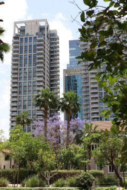 Şehir, yüksek ve çiçek açan ağaçların arka planına karşı.