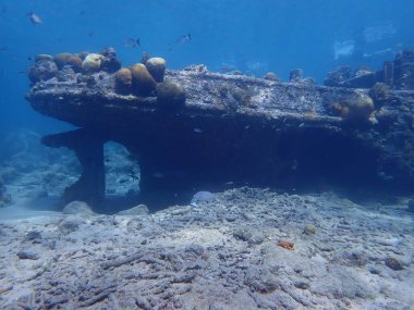 sualtı enkazı scuba dalışı Karayipler