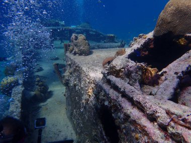 sualtı enkazı scuba dalışı Karayipler