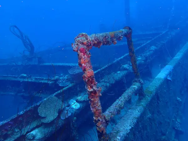 Enkaz dalışı Curacao Üstün Yapımcı 