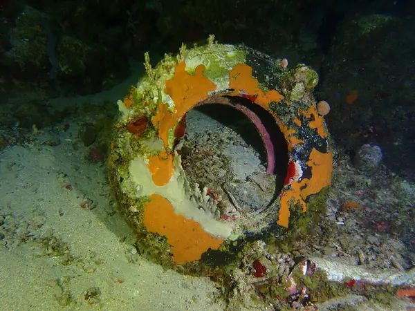 Suyun altında mercanla birlikte lastik. 