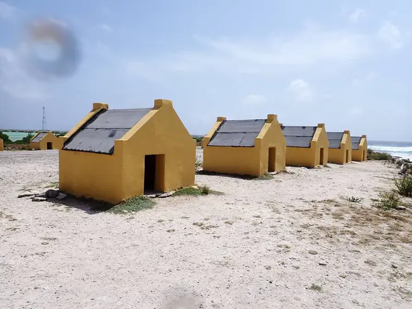 Bonaire Karayipler doğa denizine bakar 