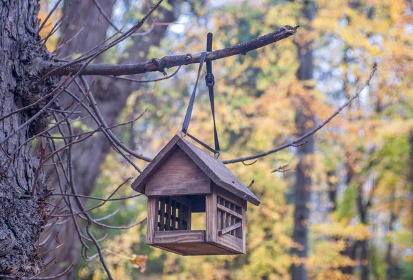 Karmik Dla Ptaków Jest Karmnik Ptaków Drzewie Jesiennym Lesie — Zdjęcie stockowe