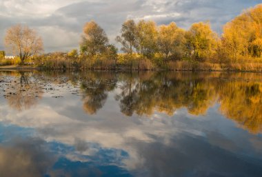 Parkta bir sonbahar günü. Ağaçlarda sarı, kırmızı ve kahverengi yapraklar var. Yapraklar yerde yatıyor..